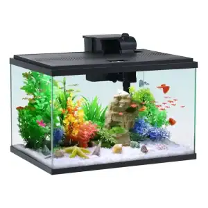 Expand Your Serenity: Aqua Culture 10-Gallon Glass Aquarium Starter Kit