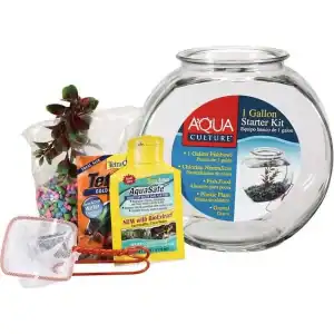 Aqua Culture 1-Gallon Glass Fish Bowl Starter Kit – Perfect for Beginners!
